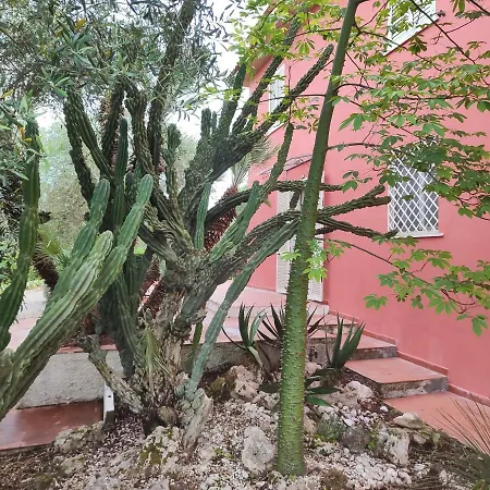 La Dimora Degli Ulivi Panzió Formia