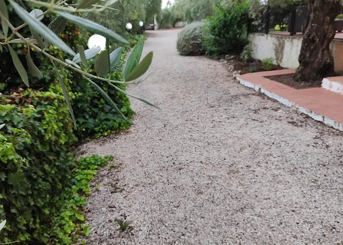 La Dimora Degli Ulivi Bed & Breakfast Formia