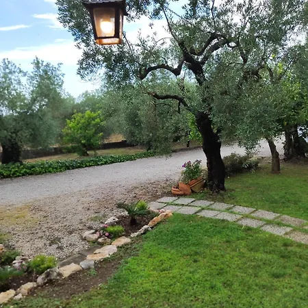 La Dimora Degli Ulivi Formia