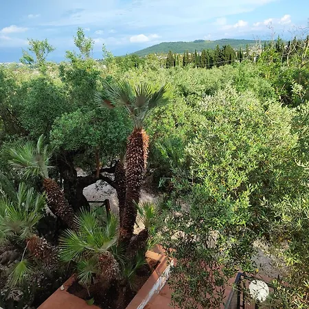 La Dimora Degli Ulivi Bed & Breakfast Formia