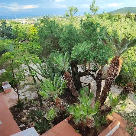 La Dimora Degli Ulivi Bed & Breakfast Formia